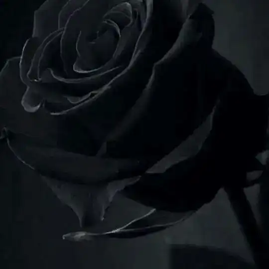 🕊️🥀Towkenoooooooo,🥀🕊️