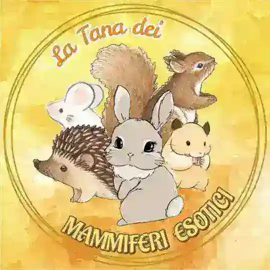 La Tana dei Mammiferi Esotici 🐿️