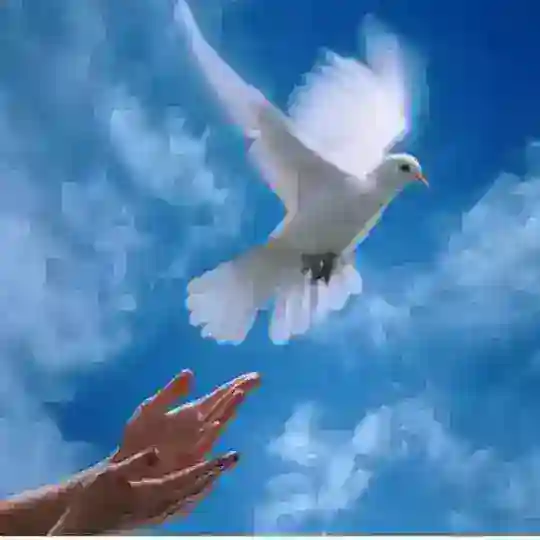 КАЗАХСТАН РЕКЛАМС