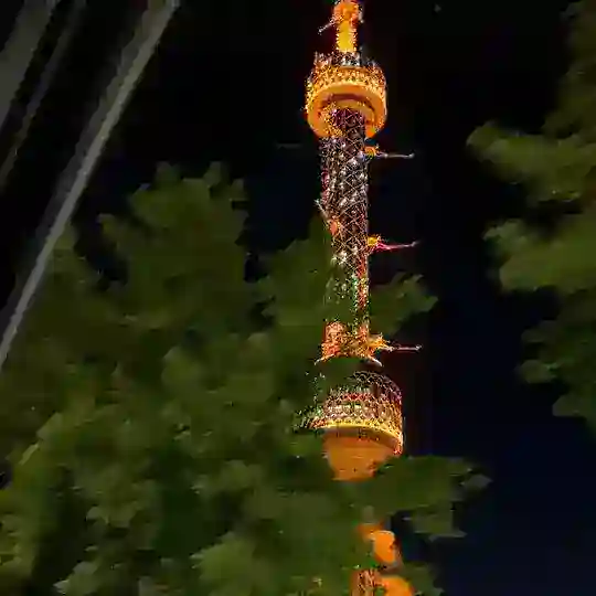 🩶Ташкент свойла🩶