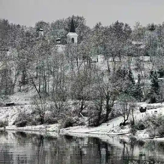 Таруса Live