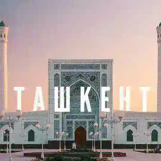 Ташкент Чат