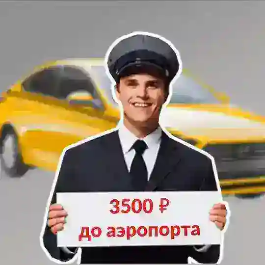 Я профессиональный водитель такси 🚕