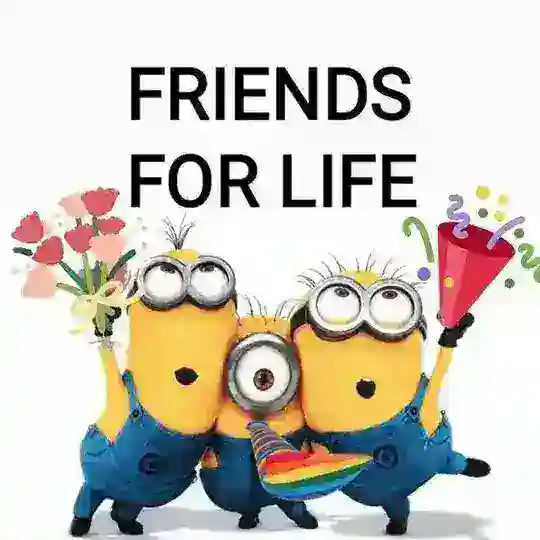 FRIendS for LiFe ...π«π