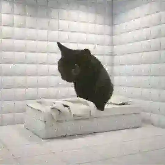 Тёмные воды Шунь🐉