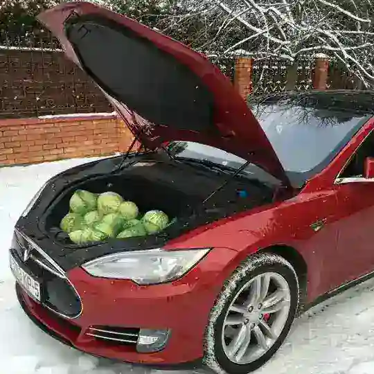 TESLA ЧАТ