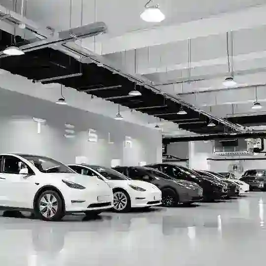 ❗Tesla Model 3/Y 電「車」友 💋