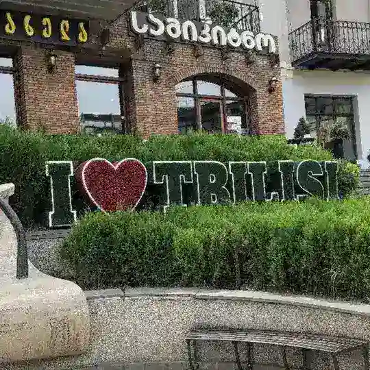 𝐓𝐁İ𝐋İ𝐒İ 𝐂𝐇𝐀𝐓
