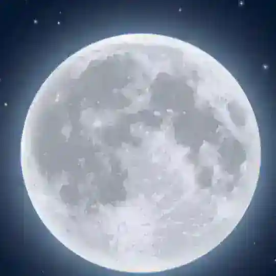 TO Moon Official
