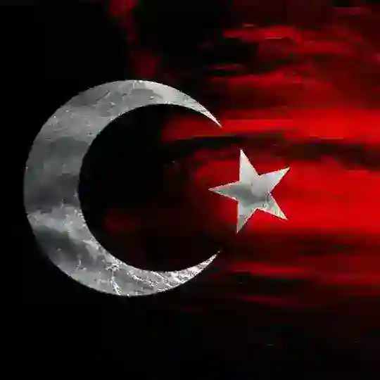 𝐒𝐀𝐍𝐀𝐋 𝐏𝐋𝐀𝐓𝐅𝐎𝐑𝐌