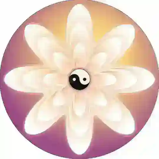 Gruppe - Lotosblüte Soul Power