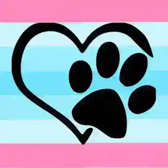Transmasc Furs 18+