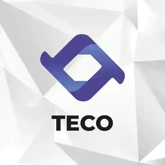 TECO DAO TT COIN 3020