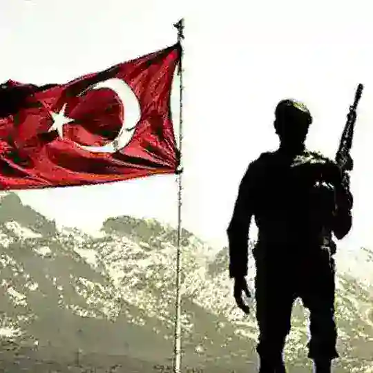 eвeđı тυяαиłαя