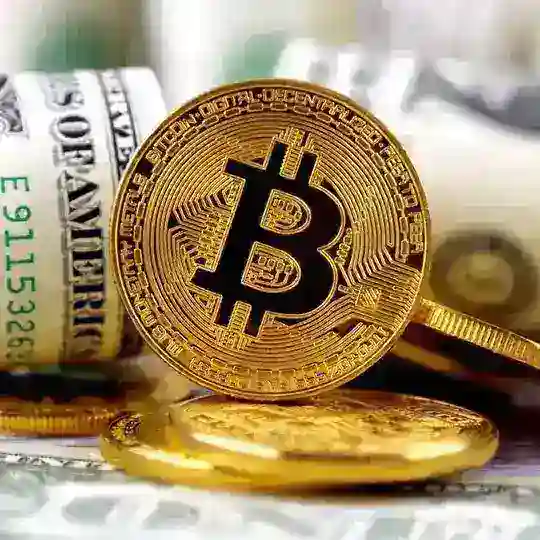 CryptoTurkey