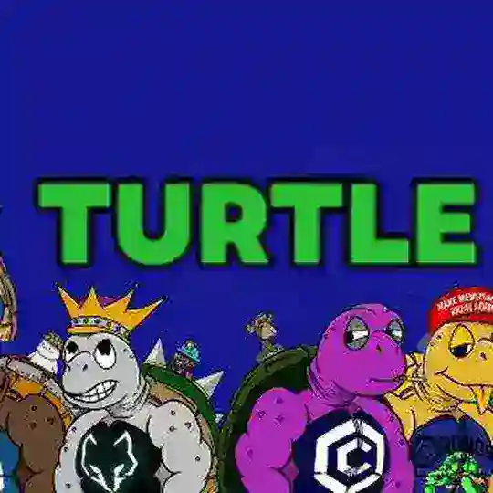 Turtle Community