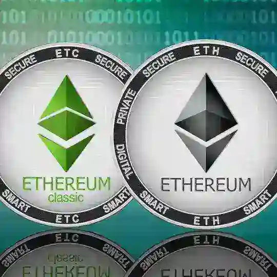 Buterin Vitalik 🐳 Support Chat
