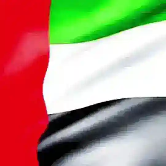 UAE Business Owners