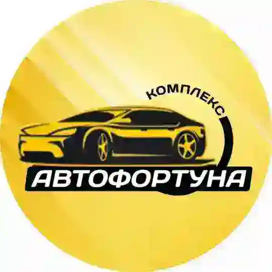 АвтоФортуна Гагарина 7 стр 4