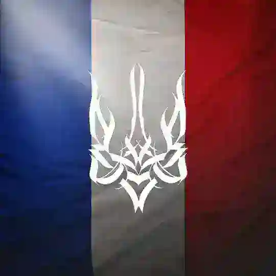 Украинцы во Франции | Чат 🇫🇷