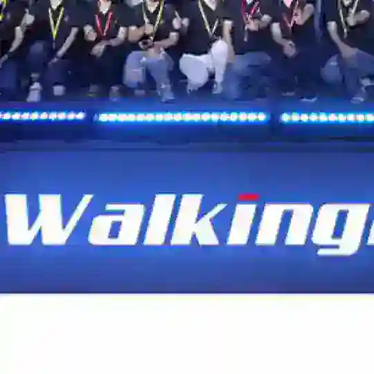 WalkingPad Russia Chat