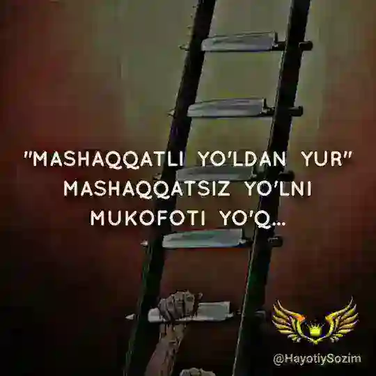 ✿ DO'STLIK MEHR OQIBAT ✿