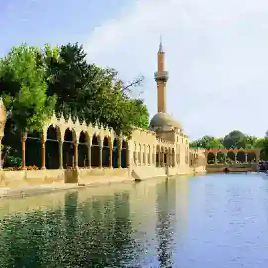 Şanlıurfa Fen Bilimleri Atama