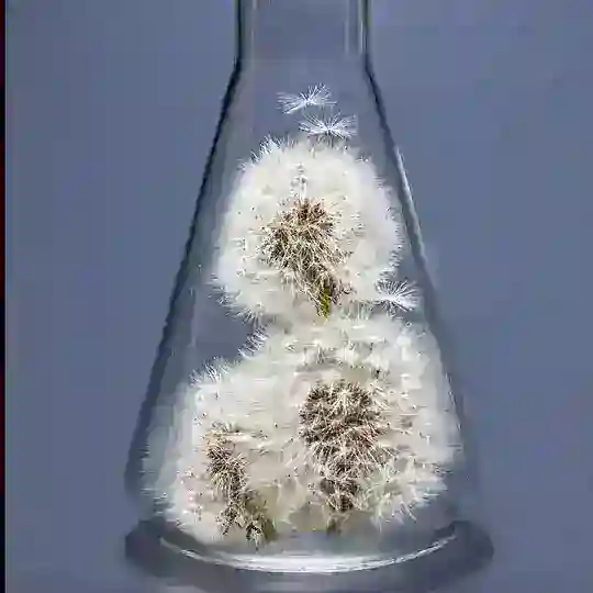 User Crypto Indonesia