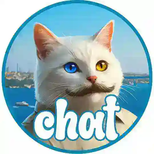 vankedisicoin - chat