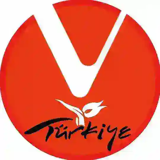 VeChain Turkish 🇹🇷 VET VTHO