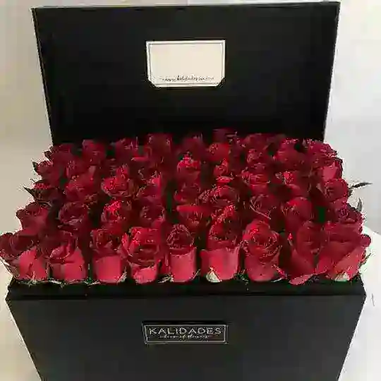 زنگ تفریح