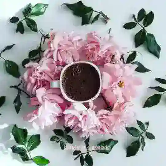 Voice 🇵🇹🇧🇷 Portuguese Dramat PUBLIC