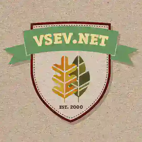 Всеволожский чат (vsev.net)