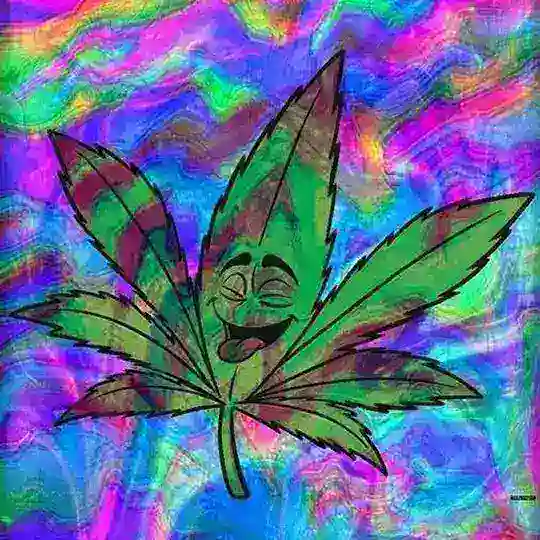 Wake N BakeπΆβπ«οΈπ³π¨