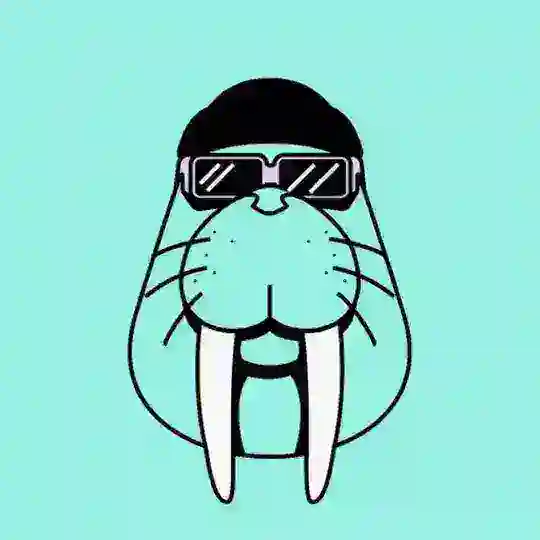 Walrus 中文官方群