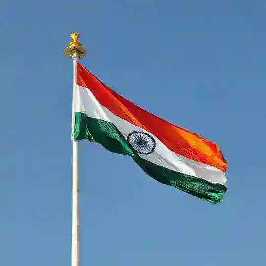 Hindi Hd Movies Request Box