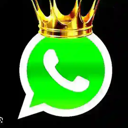 WhatsApp/Сдача номеров
