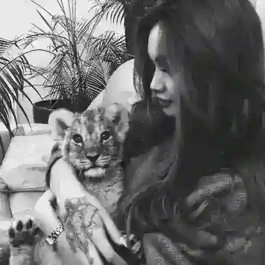 𝐖 𝐈 𝐄 𝐒 𝐒 𝐀