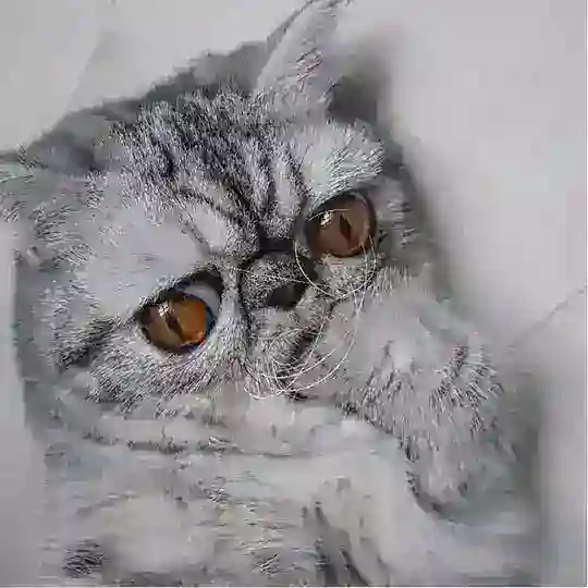 Ананасовый клуб заебашек