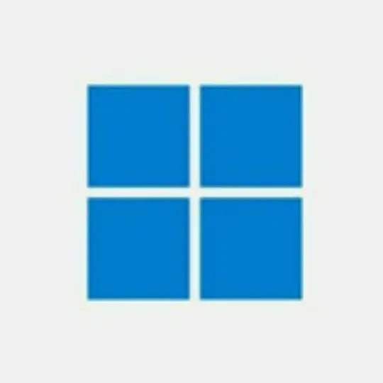 Microsoft Windows
