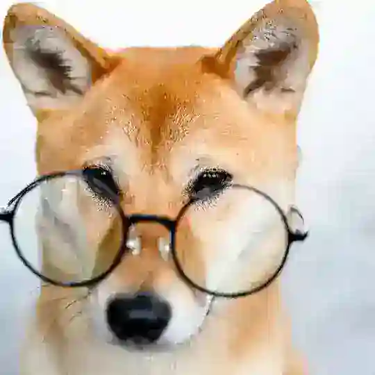 Woof Tools