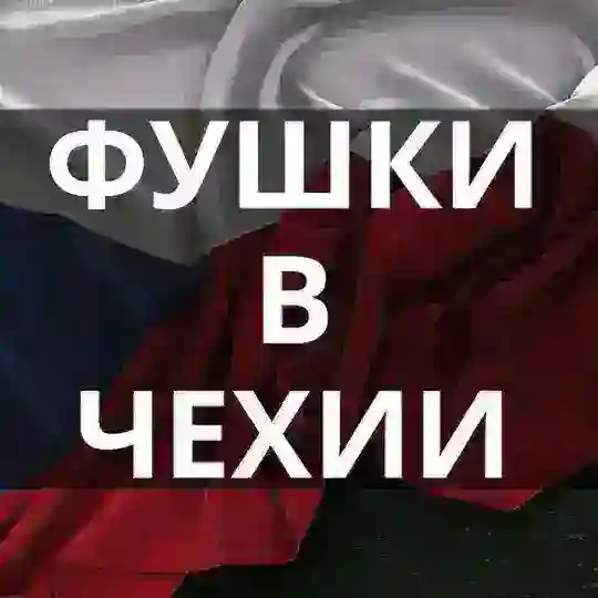 Чехія/Работа в Чехии/фушки