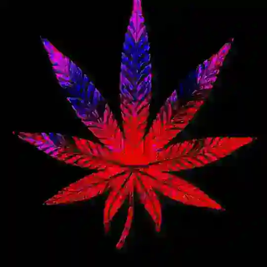 ωųяεɱų ɠεŋɠ🔞🍑🔥🌚👅❌💦