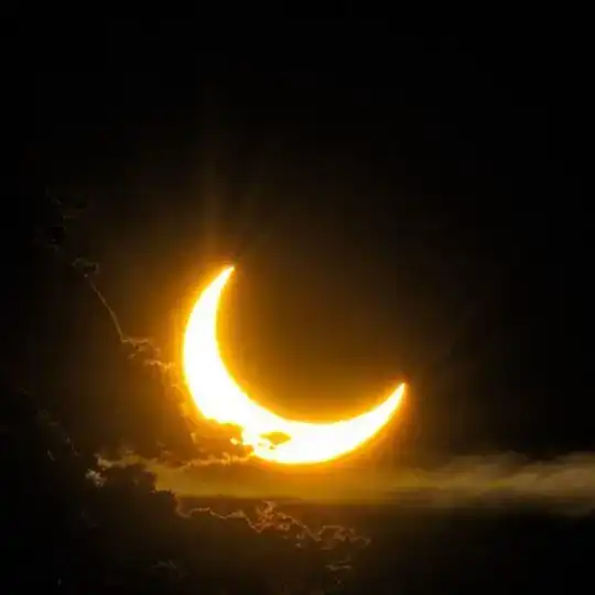 ꯭ ❲꯭✺꯭꯭➣꯭Ⲇ꯭ᥙӄ꯭ᥙ꯭ύ ꯭Ӄ꯭᥆꯭ⲧ꯭ᥱ꯭ⲏ꯭᥆꯭ӄ꯭😻꯭🌿