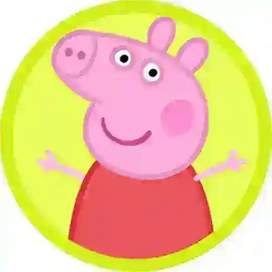 佩琪养老院🐽