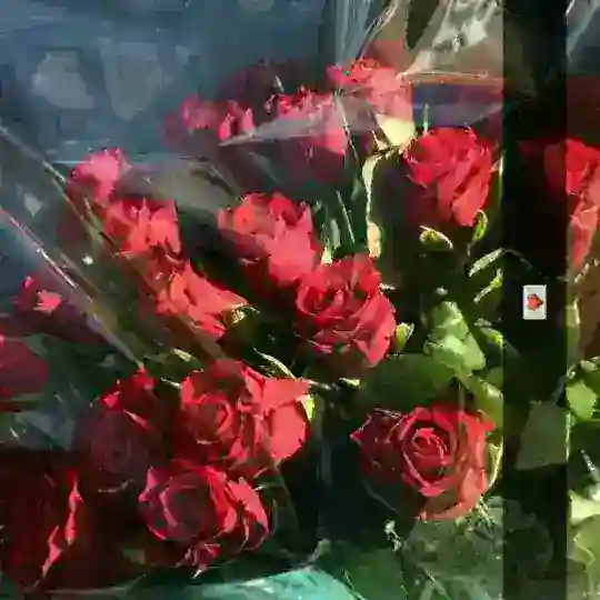 ❤❤کلبه ی دوستی ❤❤