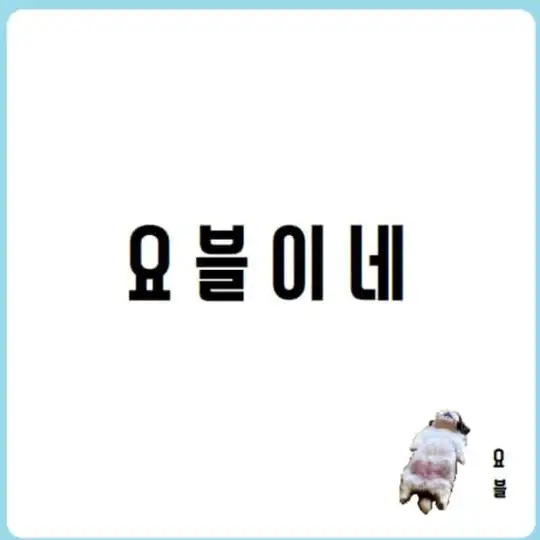 🔥요블이네🔥