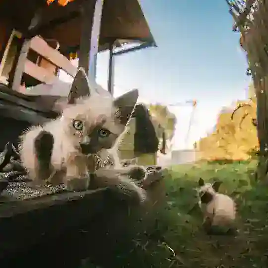 китики с завода