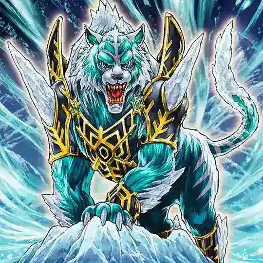 Yu Gi Oh ITA - Duelli e Tornei