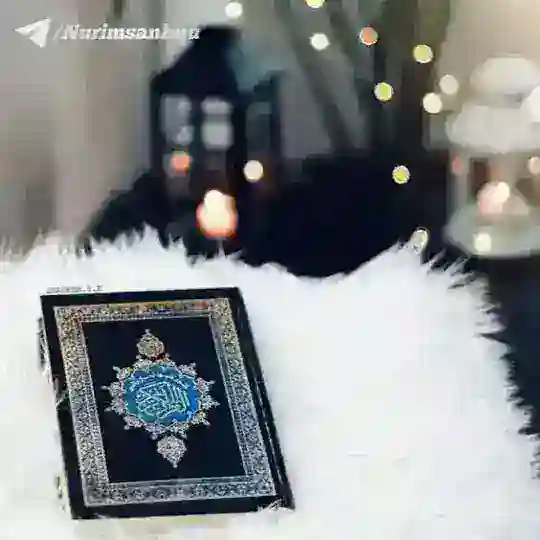 Kitobxonlar